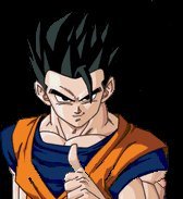 GOHAN ADULTE