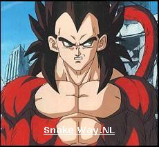VEGETA SUPER SAIYEN 4