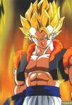 Les images DRAGON